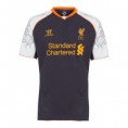 /products/liverpool-2a-equipacion/